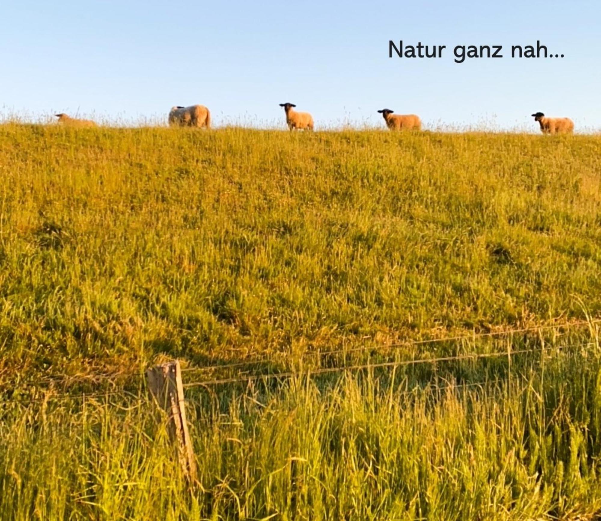 דירות שטיין Landliebe מראה חיצוני תמונה